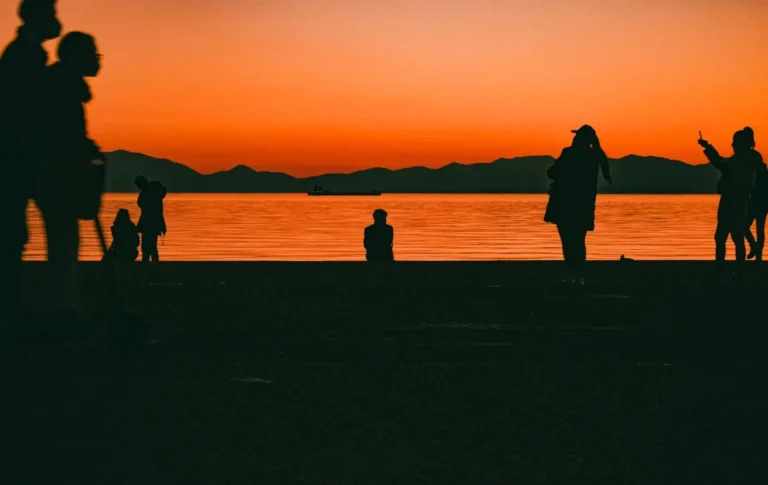 319838786-1213184979601565-8511423324694587915-n