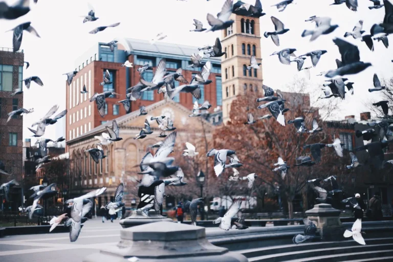 agostina-schenone-photography-02-scaled