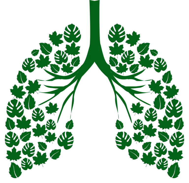 lungs-logo