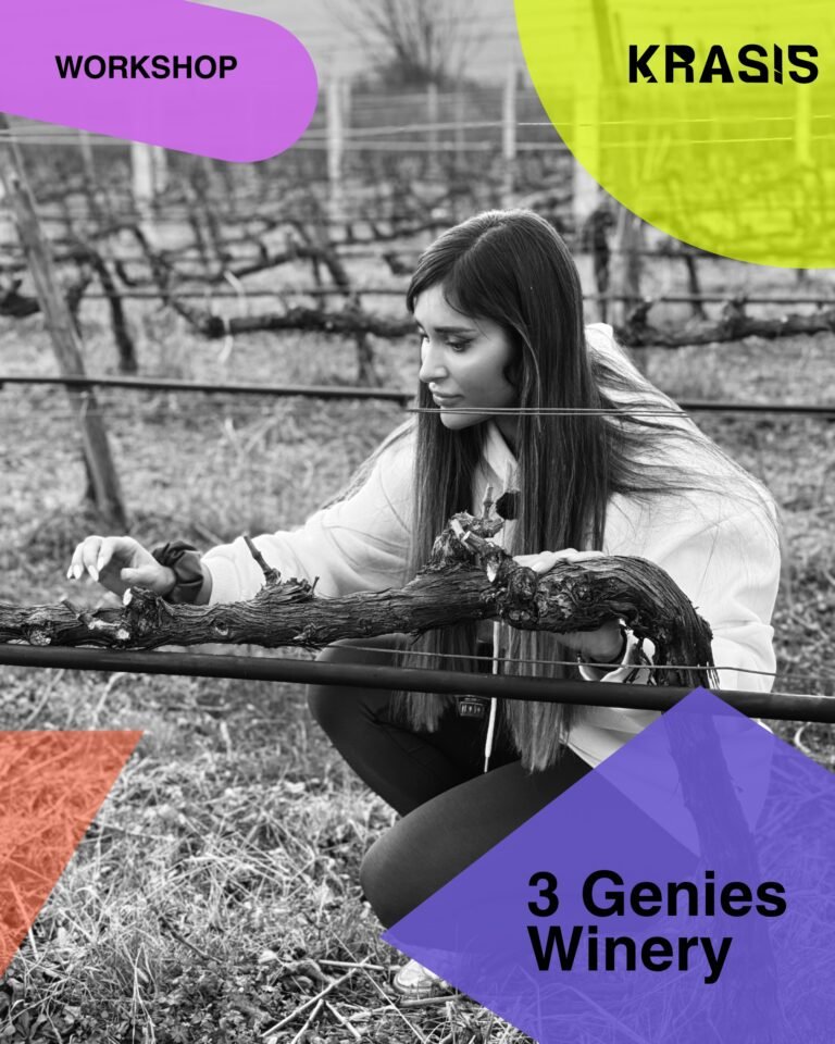 SPEAKERS KRASIS - ΕΚΤΟ